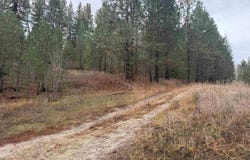 111 Cabarton Road, Cascade, ID 83611