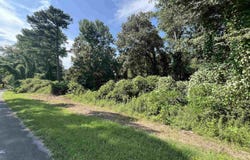 11.7 Slicklizzard Road, Nauvoo, AL 35578