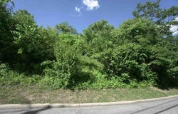 85 & 87 Kentucky Drive, Newport, KY 41071