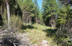 24X BARDWELL RD, CURLEW, WA 99118