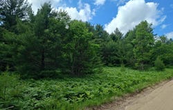 Lot #1 Red Hawk, Fife Lake, MI 49633
