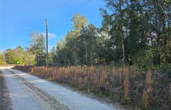 15100 SW 28TH LANE, OCALA, FL 34481
