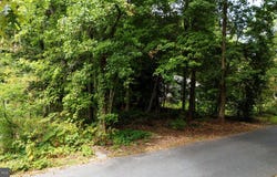 BLACKWATER VLG LOT 1 BLK INDIAN QUEEN LANE, DAGSBORO, DE 19939