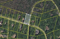 Towamensing Trail & Whitman Lane, Albrightsville, PA 18210