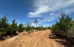 Highway 478, New Hebron, MS 39140