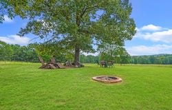 1207 County Road 4054, Timpson, TX 75975