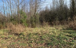 347 CR, Piggott, AR 72454