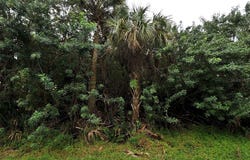 CHAMPAGNE AVENUE, NORTH PORT, FL 34287