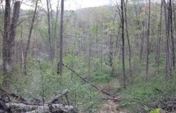 0 Routt Road, Wallingford, KY 41093