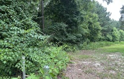 0 Lord's Creek Drive, Eden, MD 21822