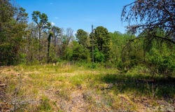 3670 Summer Road, Hendersonville, NC 28792