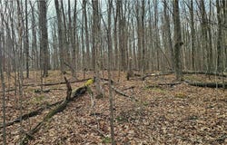 Thayer Road, Erin, NY 14838