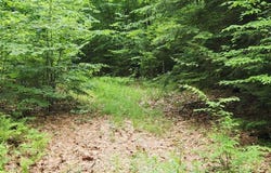 0 Oliver Hill Road, Swanzey, NH 03446