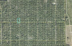 319 TIPPIN Street, HASTINGS, FL 32145