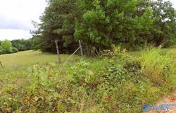 3 Acres County Road 198, Danville, AL 35619