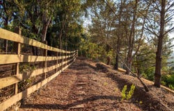 459 Flores De Oro, Rancho Santa Fe, CA 92067