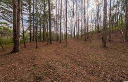 W LAKESHORE DRIVE lot: 3-E, ONEONTA, AL 35121