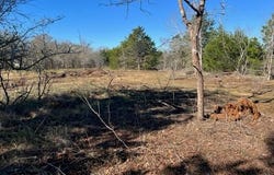 000 Grassyville RD, Paige, TX 78659