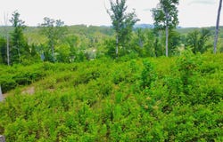 16 Mystic, Ellijay, GA 30540
