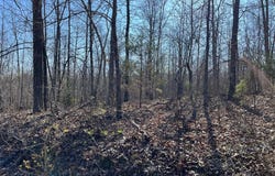 Tract #3 Lake Road, Silva, MO 63964