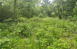 Kolb Hollow Road, Climax Springs, MO 65324