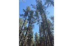 560 Princess Road, Cripple Creek, CO 80813