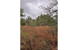 118 Laguna, Smithville, TX 78957