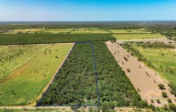 972 Silver Bridge Rd, Quemado, TX 78877
