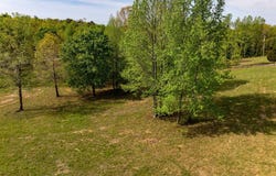 Hill Loop Rd., Floyd, AR 72136-0000