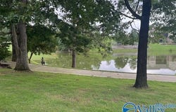 50 Chittom Wood Drive, Guntersville, AL 35976