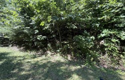 Overlook Drive, Roan Mountain, TN 37687