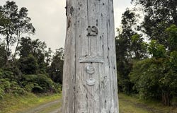 11-3845-A NAHELENANI ST, Volcano, HI 96785