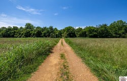 000 Pottertown Road, Murray, KY 42071
