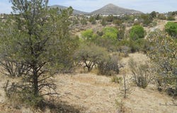Silver City, NM 88061