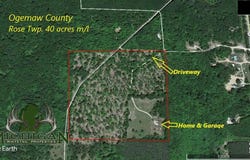 143 Tree Stand Rd, Rose City, MI 48654