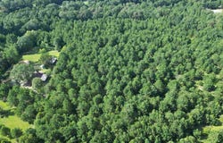 0 Janes Mill Rd, Brewton, AL 36426