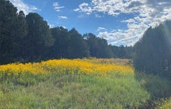 45 The Cliffs View, Glorieta, NM 87535