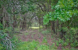 783 County Road 128, Gainesville, TX 76240