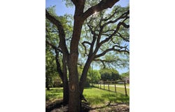 18215 Center ST, Jonestown, TX 78645