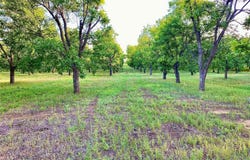 Tbd2 Fm-2318, De Leon, TX 76444