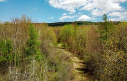 1073 Chapel Rd, Bennington, VT 05201