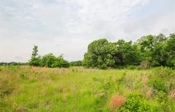 Tbd VZ CR 2150, Wills Point, TX 75169