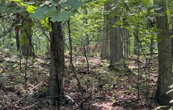 2091 WELSH Road, MOHNTON, PA 19540