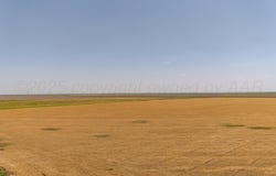 293 FM, Panhandle, TX 79068