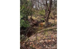Cemetery Loop, Hickory, NC 28601