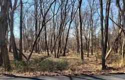 748 KENTLAND DRIVE, GREAT FALLS, VA 22066