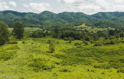 1430 Clinch Valley (55.55 acres) Rd, Sneedville, TN 37869