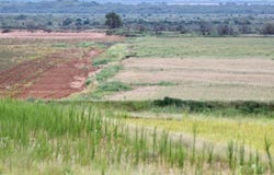 FM 2639, Turkey, TX 79261