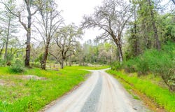 3291 Stage Trail Road, Greenwood, CA 95635