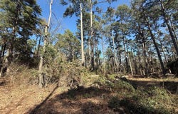 Lot 4 Private Road 8573, Winnsboro, TX 75494
